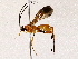  ( - BIOUG73031-B03)  @11 [ ] CreativeCommons - Attribution (2022) CBG Photography Group Centre for Biodiversity Genomics