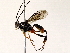  ( - BIOUG73031-B05)  @11 [ ] CreativeCommons - Attribution (2022) CBG Photography Group Centre for Biodiversity Genomics