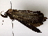  ( - BIOUG73031-C03)  @11 [ ] CreativeCommons - Attribution (2022) CBG Photography Group Centre for Biodiversity Genomics