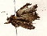  ( - BIOUG73031-C07)  @11 [ ] CreativeCommons - Attribution (2022) CBG Photography Group Centre for Biodiversity Genomics