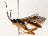  ( - BIOUG73031-E03)  @11 [ ] CreativeCommons - Attribution (2022) CBG Photography Group Centre for Biodiversity Genomics