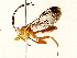  ( - BIOUG73031-E10)  @11 [ ] CreativeCommons - Attribution (2022) CBG Photography Group Centre for Biodiversity Genomics