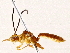 ( - BIOUG73031-F06)  @13 [ ] CreativeCommons - Attribution (2022) CBG Photography Group Centre for Biodiversity Genomics