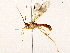  ( - BIOUG73031-F07)  @11 [ ] CreativeCommons - Attribution (2022) CBG Photography Group Centre for Biodiversity Genomics