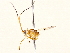  ( - BIOUG73031-F10)  @11 [ ] CreativeCommons - Attribution (2022) CBG Photography Group Centre for Biodiversity Genomics