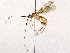 ( - BIOUG73031-G01)  @11 [ ] CreativeCommons - Attribution (2022) CBG Photography Group Centre for Biodiversity Genomics
