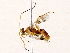  ( - BIOUG73031-G05)  @11 [ ] CreativeCommons - Attribution (2022) CBG Photography Group Centre for Biodiversity Genomics