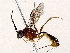  ( - BIOUG73031-G06)  @11 [ ] CreativeCommons - Attribution (2022) CBG Photography Group Centre for Biodiversity Genomics