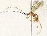  ( - BIOUG73032-B06)  @11 [ ] CreativeCommons - Attribution (2022) CBG Photography Group Centre for Biodiversity Genomics