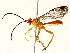  ( - BIOUG73032-C10)  @11 [ ] CreativeCommons - Attribution (2022) CBG Photography Group Centre for Biodiversity Genomics