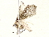  ( - BIOUG73032-E07)  @11 [ ] CreativeCommons - Attribution (2022) CBG Photography Group Centre for Biodiversity Genomics