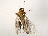  ( - BIOUG73032-F04)  @11 [ ] CreativeCommons - Attribution (2022) CBG Photography Group Centre for Biodiversity Genomics