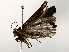  ( - BIOUG73032-F05)  @11 [ ] CreativeCommons - Attribution (2022) CBG Photography Group Centre for Biodiversity Genomics
