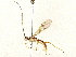  ( - BIOUG73032-H10)  @11 [ ] CreativeCommons - Attribution (2022) CBG Photography Group Centre for Biodiversity Genomics