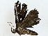  ( - BIOUG73630-E09)  @11 [ ] CreativeCommons - Attribution (2022) CBG Photography Group Centre for Biodiversity Genomics