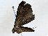  ( - BIOUG73630-E10)  @11 [ ] CreativeCommons - Attribution (2022) CBG Photography Group Centre for Biodiversity Genomics
