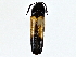  ( - BIOUG73630-G02)  @11 [ ] CreativeCommons - Attribution (2022) CBG Photography Group Centre for Biodiversity Genomics