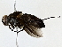  ( - BIOUG73630-H07)  @11 [ ] CreativeCommons - Attribution (2022) CBG Photography Group Centre for Biodiversity Genomics