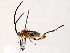  ( - BIOUG76517-C03)  @11 [ ] CreativeCommons - Attribution (2022) CBG Photography Group Centre for Biodiversity Genomics