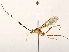  ( - BIOUG76517-F09)  @11 [ ] CreativeCommons - Attribution (2022) CBG Photography Group Centre for Biodiversity Genomics