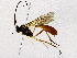 ( - BIOUG76517-G03)  @11 [ ] CreativeCommons - Attribution (2022) CBG Photography Group Centre for Biodiversity Genomics