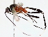  ( - BIOUG76518-A02)  @11 [ ] CreativeCommons - Attribution (2022) CBG Photography Group Centre for Biodiversity Genomics