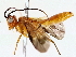  ( - BIOUG76518-A03)  @11 [ ] CreativeCommons - Attribution (2022) CBG Photography Group Centre for Biodiversity Genomics