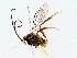  ( - BIOUG76518-B10)  @13 [ ] CreativeCommons - Attribution (2022) CBG Photography Group Centre for Biodiversity Genomics
