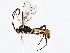  ( - BIOUG76519-A06)  @11 [ ] CreativeCommons - Attribution (2022) CBG Photography Group Centre for Biodiversity Genomics