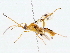  ( - BIOUG76519-A07)  @11 [ ] CreativeCommons - Attribution (2022) CBG Photography Group Centre for Biodiversity Genomics