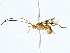  ( - BIOUG76544-G10)  @11 [ ] CreativeCommons - Attribution (2022) CBG Photography Group Centre for Biodiversity Genomics
