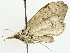  ( - BIOUG76545-A02)  @11 [ ] CreativeCommons - Attribution (2022) CBG Photography Group Centre for Biodiversity Genomics
