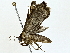  ( - BIOUG76545-A03)  @11 [ ] CreativeCommons - Attribution (2022) CBG Photography Group Centre for Biodiversity Genomics