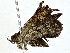  ( - BIOUG76545-B01)  @11 [ ] CreativeCommons - Attribution (2022) CBG Photography Group Centre for Biodiversity Genomics
