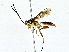  ( - BIOUG76546-B01)  @11 [ ] CreativeCommons - Attribution (2022) CBG Photography Group Centre for Biodiversity Genomics