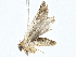  ( - BIOUG76546-D09)  @11 [ ] CreativeCommons - Attribution (2022) CBG Photography Group Centre for Biodiversity Genomics