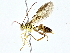  ( - BIOUG76547-A08)  @11 [ ] CreativeCommons - Attribution (2022) CBG Photography Group Centre for Biodiversity Genomics