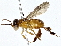 ( - BIOUG76547-F04)  @11 [ ] CreativeCommons - Attribution (2022) CBG Photography Group Centre for Biodiversity Genomics