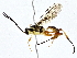  ( - BIOUG76548-D08)  @11 [ ] CreativeCommons - Attribution (2022) CBG Photography Group Centre for Biodiversity Genomics