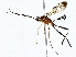  ( - BIOUG76548-E03)  @11 [ ] CreativeCommons - Attribution (2022) CBG Photography Group Centre for Biodiversity Genomics