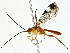  ( - BIOUG76548-H03)  @11 [ ] CreativeCommons - Attribution (2022) CBG Photography Group Centre for Biodiversity Genomics