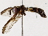  ( - BIOUG76549-C04)  @11 [ ] CreativeCommons - Attribution (2022) CBG Photography Group Centre for Biodiversity Genomics