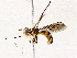 ( - BIOUG76549-C07)  @11 [ ] CreativeCommons - Attribution (2022) CBG Photography Group Centre for Biodiversity Genomics