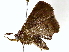  ( - BIOUG76549-F07)  @11 [ ] CreativeCommons - Attribution (2022) CBG Photography Group Centre for Biodiversity Genomics