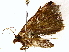  ( - BIOUG76549-F08)  @11 [ ] CreativeCommons - Attribution (2022) CBG Photography Group Centre for Biodiversity Genomics
