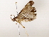  ( - BIOUG76549-F09)  @11 [ ] CreativeCommons - Attribution (2022) CBG Photography Group Centre for Biodiversity Genomics