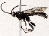  ( - BIOUG76550-C03)  @11 [ ] CreativeCommons - Attribution (2022) CBG Photography Group Centre for Biodiversity Genomics