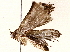  (erebidBioLep01 BioLep3185 - BIOUG76550-E11)  @11 [ ] CreativeCommons - Attribution (2022) CBG Photography Group Centre for Biodiversity Genomics