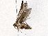  ( - BIOUG76550-F01)  @11 [ ] CreativeCommons - Attribution (2022) CBG Photography Group Centre for Biodiversity Genomics