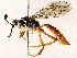  (ichJanzen01 Janzen7455 - BIOUG76550-F08)  @11 [ ] CreativeCommons - Attribution (2022) CBG Photography Group Centre for Biodiversity Genomics